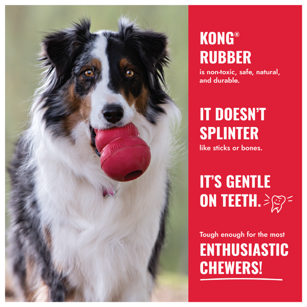 MASTICADOR PARA PERRO CLASICO CHEWERS